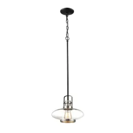 10 in. Pendant Light Nickel & Black Finish