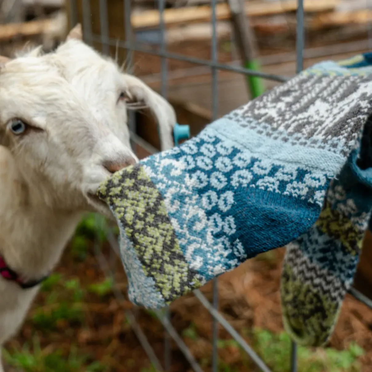 Crew Socks - Goat