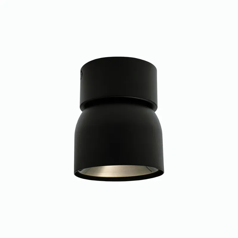 Extended Tilted Hinge Ceiling Light