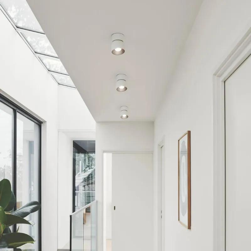 Extended Tilted Hinge Ceiling Light