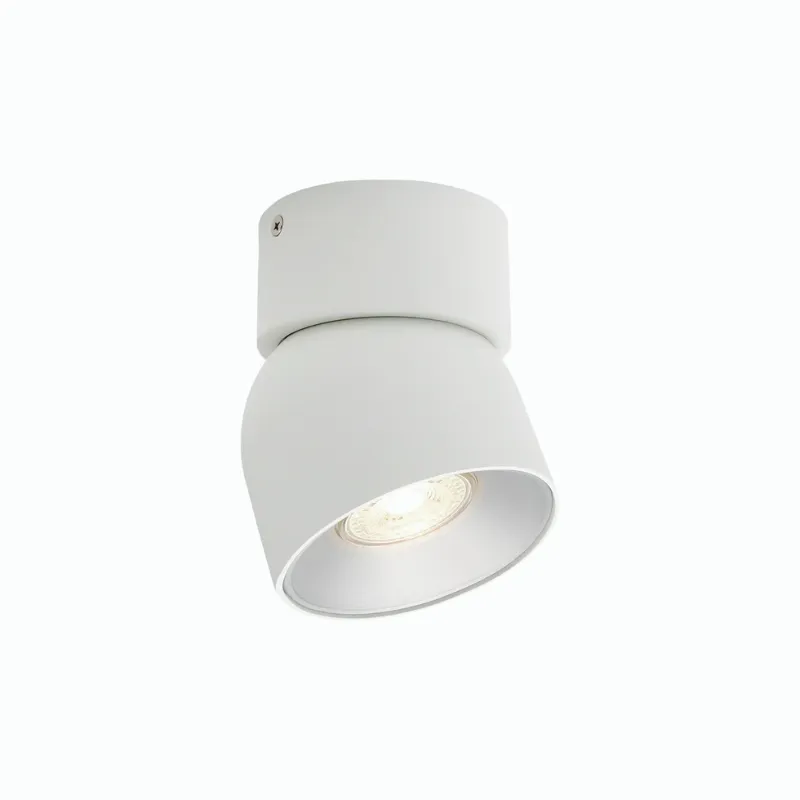 Extended Tilted Hinge Ceiling Light