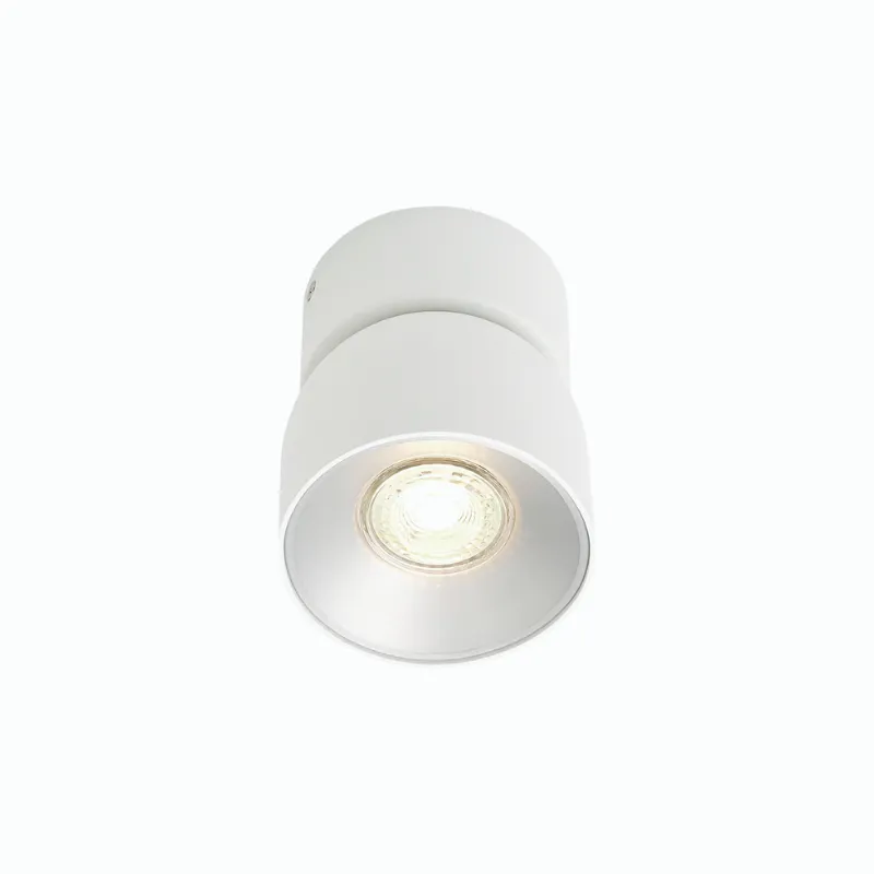 Extended Tilted Hinge Ceiling Light