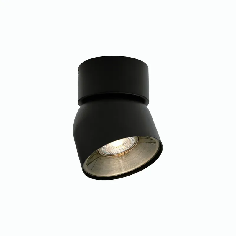 Extended Tilted Hinge Ceiling Light