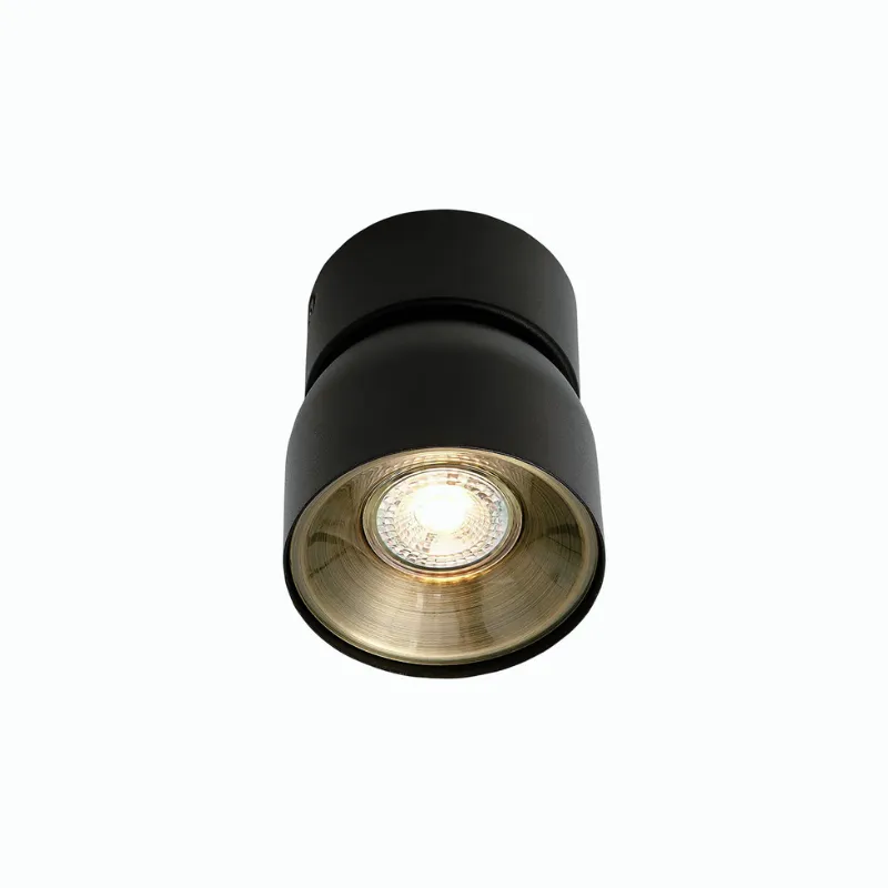 Extended Tilted Hinge Ceiling Light