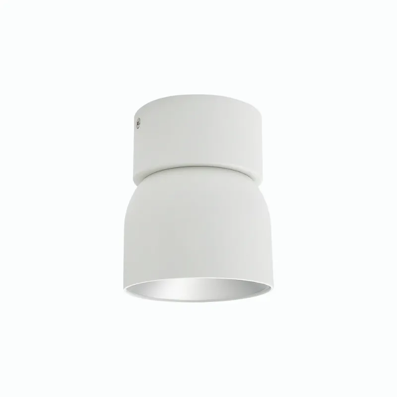 Extended Tilted Hinge Ceiling Light